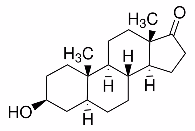 EPIANDROSTERONA pack 1X10G