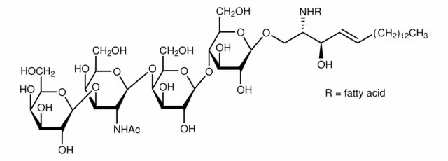 ASIALOGANGLIOSIDO-GM1 DEL CEREBRO BOVINO pack 1X1MG
