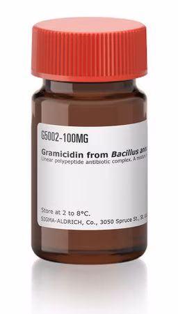 GRAMICIDINA DE BACILLUS BREVIS paquete 1X1G