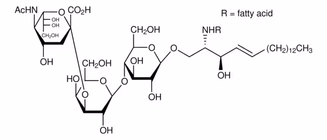 GANGLIOSIDO MONOSIALOGANGLIOSIDO-GM3 paquete 1X.5MG