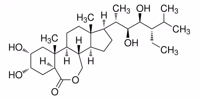 22(S),23(S)-HOMOBRASINOLIDA paquete 1X1MG