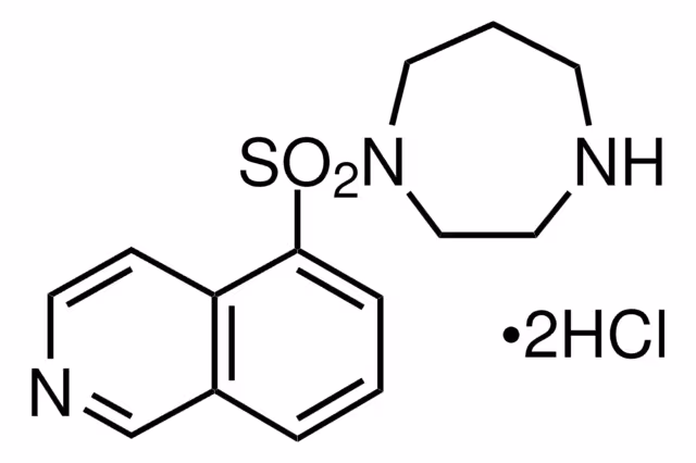 HA-1077 DIHIDROCLORURO pack 1X10MG