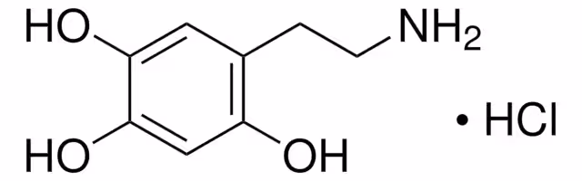 CLORHIDRATO DE 6-HIDROXIDOPAMINA, >= 97%& paquete 1X500MG