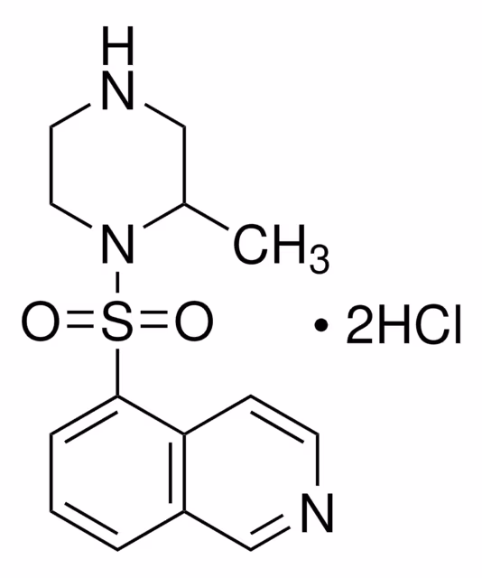 1-(5-ISOQUINOLINILSULFONIL)-2- y paquete 1X5MG