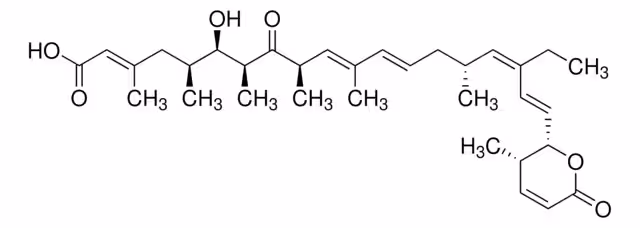 SOLUCIÓN DE LEPTOMICINA B DE STREPTOMYCES& pack 1X.5UG