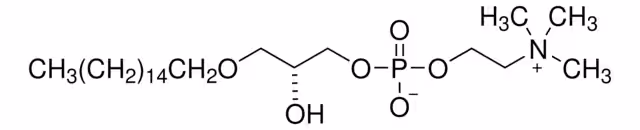 L-A-LISOFOSFATIDILCOLINA, GAMMA-O pack 1X1MG