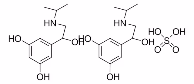 HEMISULFATO DE METAPROTERENOL pack 1X1G
