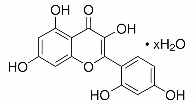 MORIN HIDRATO pack 1X5G