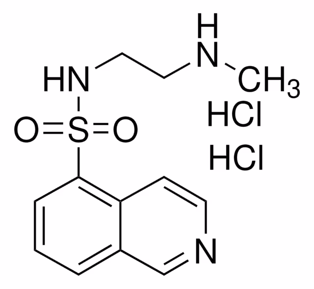 H-8 DIHIDROCLORURO pack 1X5MG