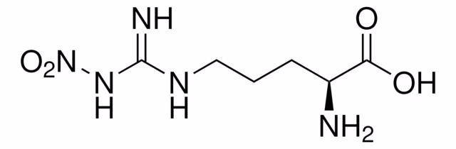 N-OMEGA-NITRO-L-ARGININA pack 1X1G