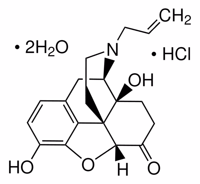 CLORHIDRATO DE NALOXONA pack 1X1G