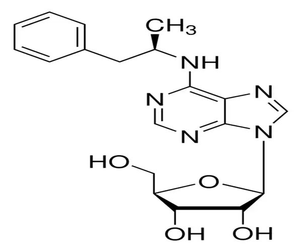 (-)-N6-(2-FENILISOPROPIL)ADENOSINA pack 1X50MG