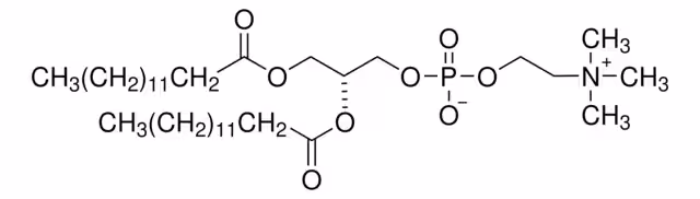 1,2-DIMYRISTOYL-SN-GLYCERO-3-FOSFOCHOL paquete 1X1G