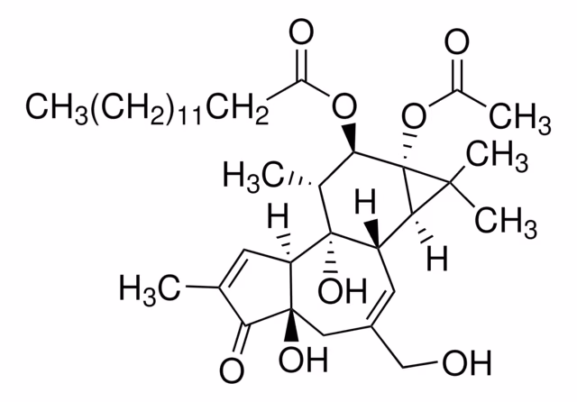 FORBOL 12-MIRISTATO 13-ACETATO pack 1X1MG