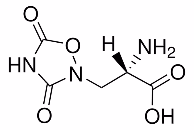 ÁCIDO QUISCUÁLICO pack 1X10MG