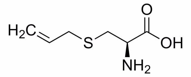 S-ALIL-L-CISTEÍNA pack 1X10MG