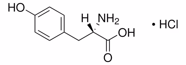 L-TIROSINA CLORHIDRATO pack 1X5G