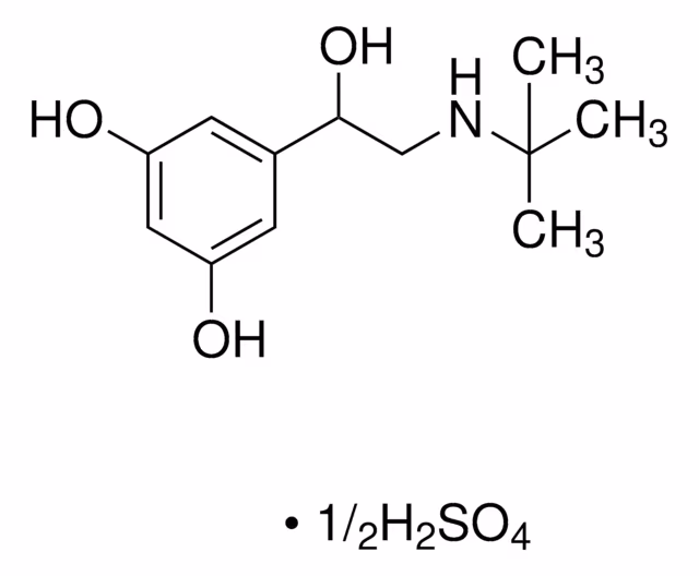 HEMISULFATO DE TERBUTALINA pack 1X5G