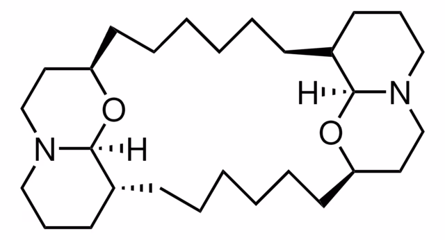 XESTOSPONGIN C pack 1X50UG