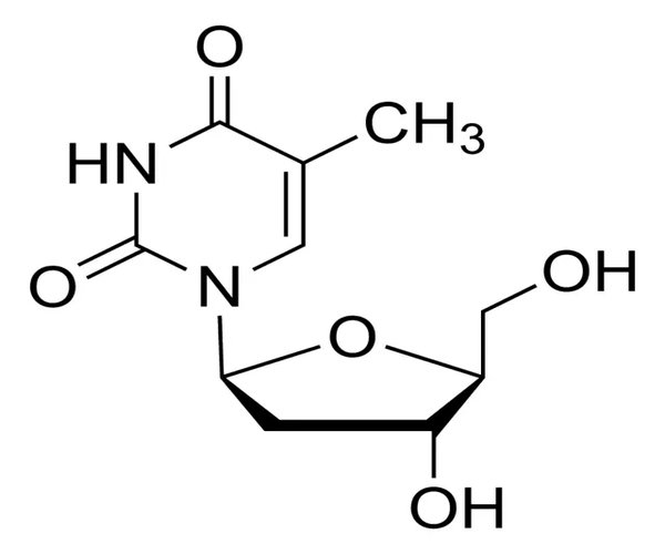 TELBIVUDINA pack 1X25MG