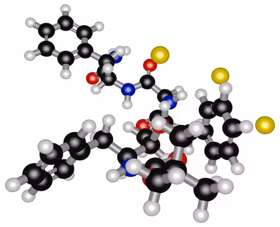 L-685,458 paquete 1X1MG