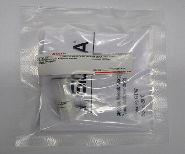 GLUCÓGENO DE MYTILUS EDULIS& pack 1X1VL