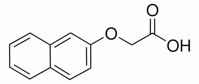 BIORREACTIVO ÁCIDO 2-NAFTOXIACÉTICO, CR& pack 1X500G