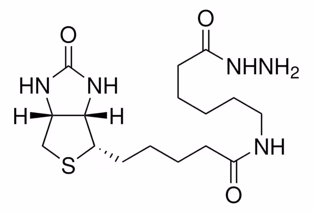 (+)-ÁCIDO BIOTINAMIDOHEXANOICO HIDRAZIDA pack 1X100MG