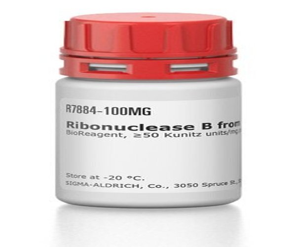 RIBONUCLEASE B DE PÁNCREA BOVINA & pack 1X500UG