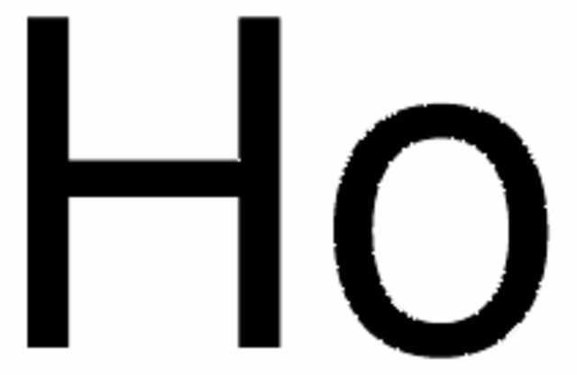 HOLMIO, CHIP, 99,9% pack 1X5G