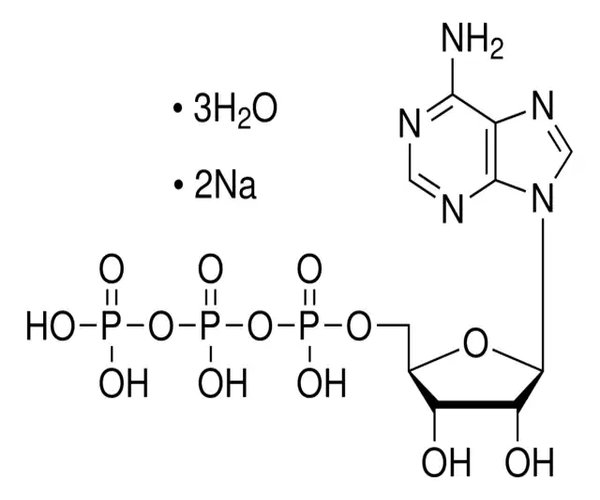 ADENOSINE 5-TRIPHOSPHATE DISODIUM SALT pack 1X1G