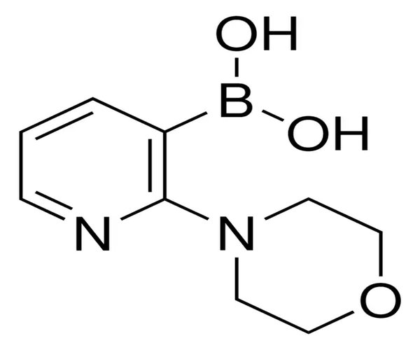2-MORPHOLINOPYRIDINE-3-BORONIC ACID pack 1X1G