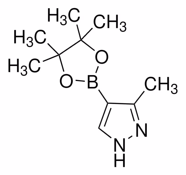 3-METHYL-1H-PYRAZOLE-4-BORONIC ACID PIN& pack 1X250MG