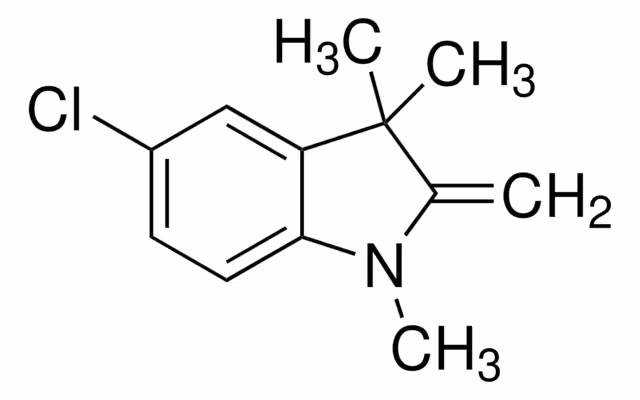 5-CHLORO-2-METHYLENE-1,3,3-TRIMETHYL- pack 1X25G