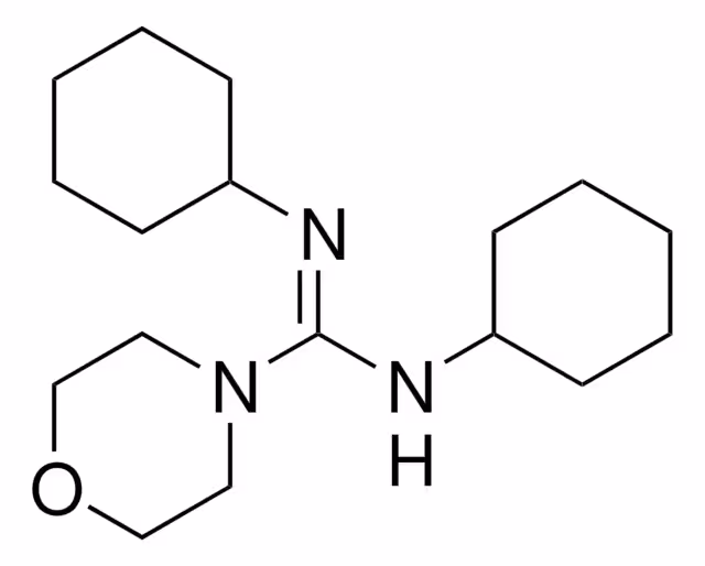 N,N'-DICYCLOHEXYL-4-MORPHOLINE-        & pack 1X25G