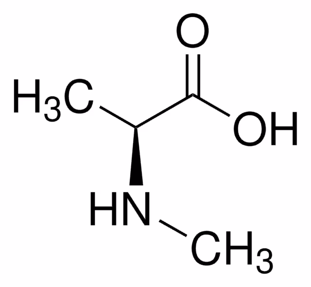 N-METHYL-L-ALANINE, >=98.0% pack 1X1G
