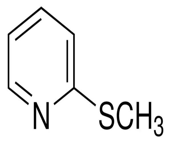 2-(METHYLTHIO)PYRIDINE, >=95.0% pack 1X1G