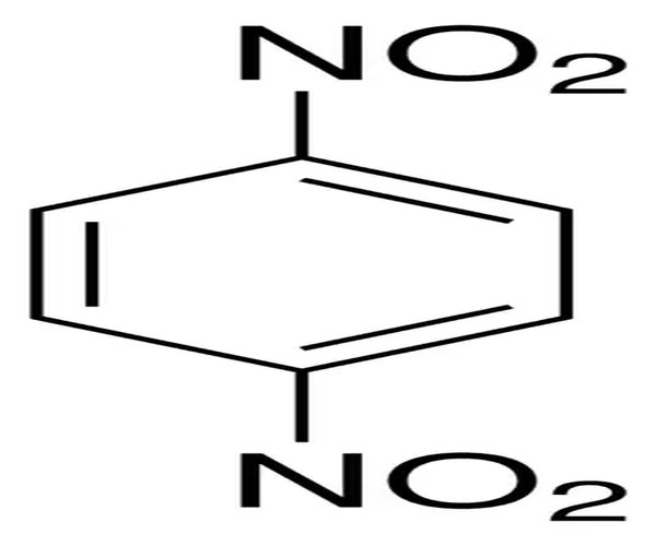 1,4-DINITROBENZENE, 98% pack 1X5G