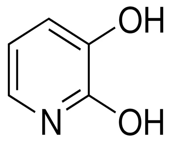 2,3-DIHYDROXYPYRIDINE, 95% pack 1X100G
