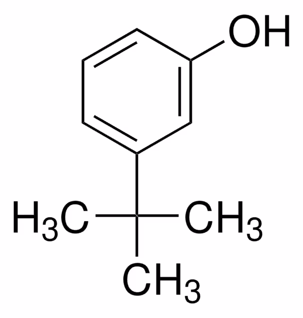 3-TERT-BUTYLPHENOL, 99% pack 1X1G