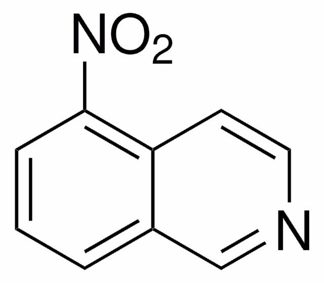 5-NITROISOQUINOLINE, 98% pack 1X5G