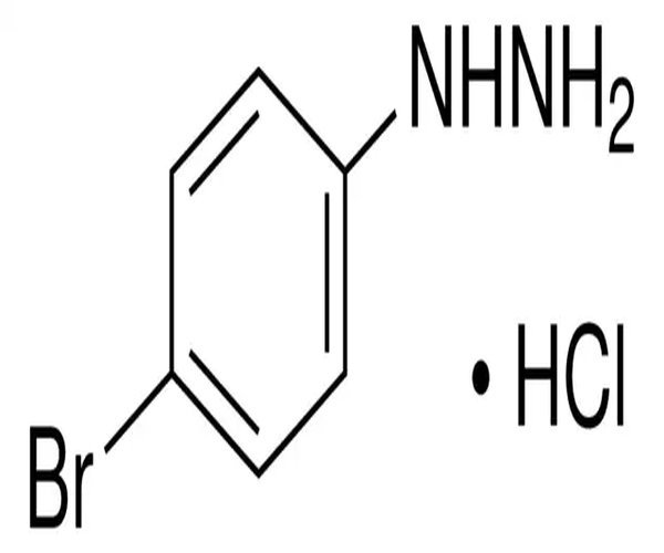 4-BROMOPHENYLHYDRAZINE HYDROCHLORIDE, 9& pack 1X50G