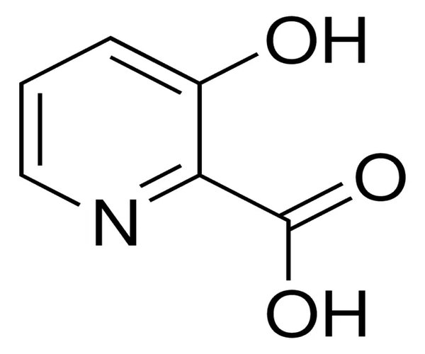 3-HYDROXYPYRIDINE-2-CARBOXYLIC ACID, 98% pack 1X5G