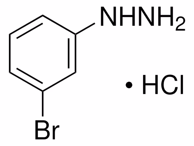 3-BROMOPHENYLHYDRAZINE HYDROCHLORIDE, 9& pack 1X5G