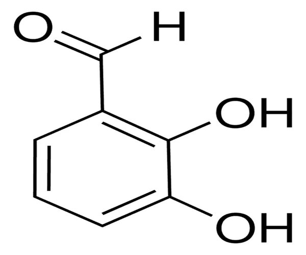2,3-DIHYDROXYBENZALDEHYDE, 97% pack 1X25G