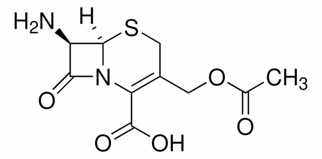 7-AMINOCEPHALOSPORANIC ACID, 98% pack 1X5G