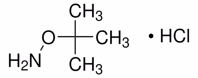 O-TERT-BUTYLHYDROXYLAMINE HYDROCHLORIDE& pack 1X1G