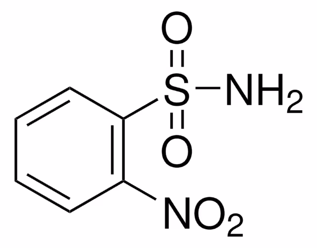 2-NITROBENZENESULFONAMIDE, 98% pack 1X5G