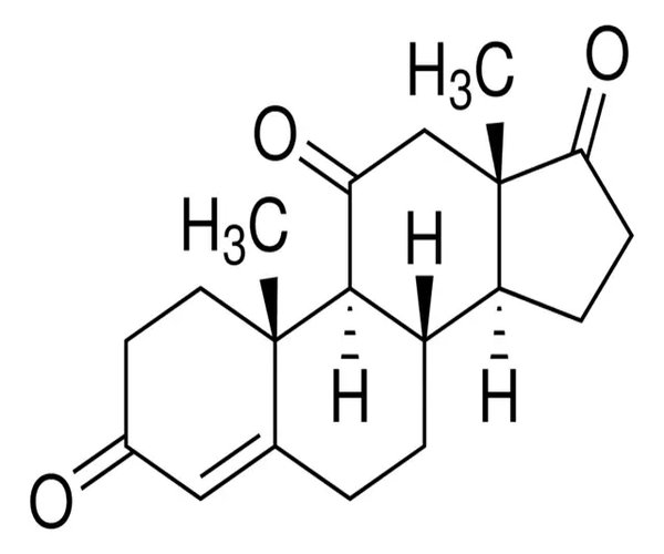 ADRENOSTERONE, 98% pack 1X5G