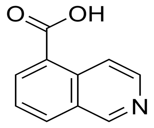 ISOQUINOLINE-5-CARBOXYLIC ACID, 95% pack 1X250MG